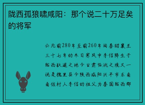 陇西孤狼啸咸阳：那个说二十万足矣的将军