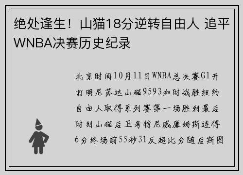 绝处逢生！山猫18分逆转自由人 追平WNBA决赛历史纪录